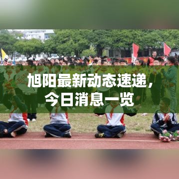 旭陽最新動(dòng)態(tài)速遞，今日消息一覽