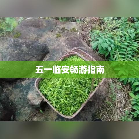 五一臨安暢游指南