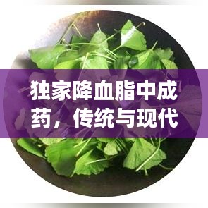 獨(dú)家降血脂中成藥，傳統(tǒng)與現(xiàn)代完美融合，健康之選！