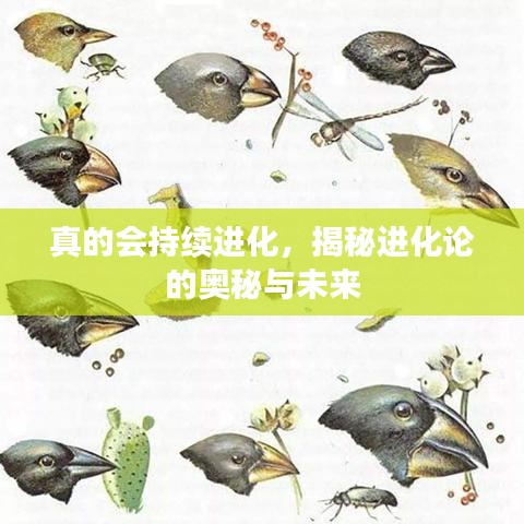 真的會持續(xù)進化，揭秘進化論的奧秘與未來