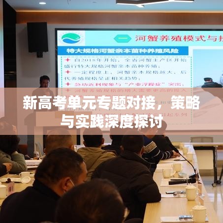 新高考單元專題對接，策略與實踐深度探討