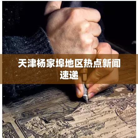 天津楊家埠地區(qū)熱點新聞速遞