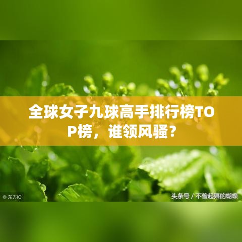 全球女子九球高手排行榜TOP榜，誰領(lǐng)風(fēng)騷？