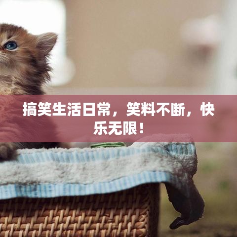 搞笑生活日常，笑料不斷，快樂無限！