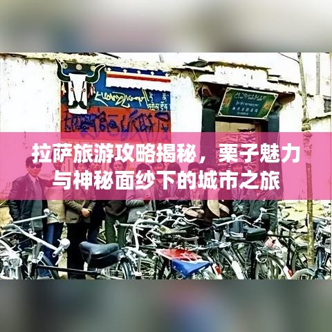 拉薩旅游攻略揭秘，栗子魅力與神秘面紗下的城市之旅