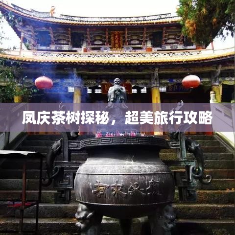 鳳慶茶樹(shù)探秘，超美旅行攻略