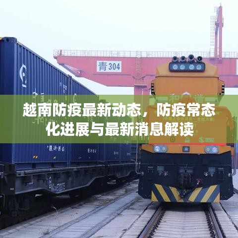 越南防疫最新動(dòng)態(tài)，防疫常態(tài)化進(jìn)展與最新消息解讀