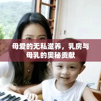 母愛的無私滋養(yǎng)，乳房與母乳的奧秘貢獻