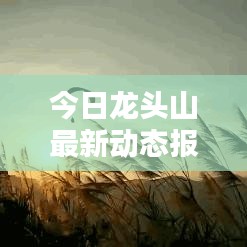 今日龍頭山最新動態(tài)報道