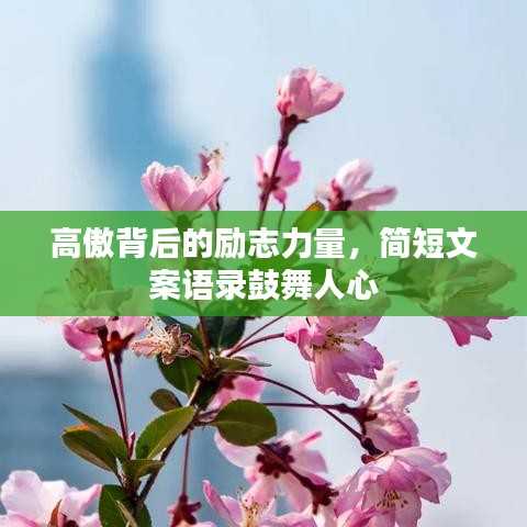 高傲背后的勵志力量，簡短文案語錄鼓舞人心