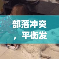 部落沖突，平衡發(fā)展，守護(hù)領(lǐng)地之道