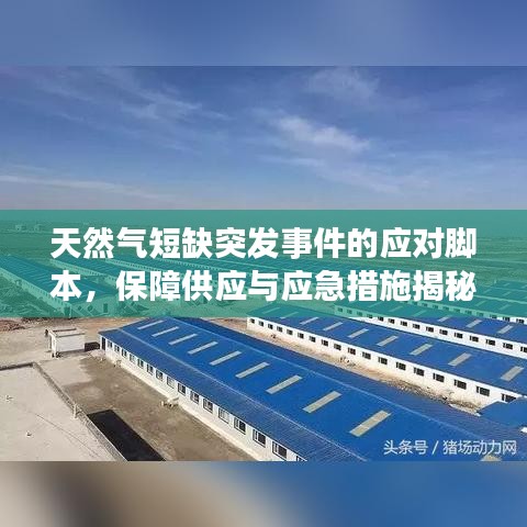 天然氣短缺突發(fā)事件的應(yīng)對腳本，保障供應(yīng)與應(yīng)急措施揭秘！
