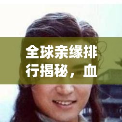 全球親緣排行揭秘，血脈相連的情感羈絆與共鳴