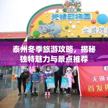 泰州冬季旅游攻略，揭秘獨(dú)特魅力與景點(diǎn)推薦