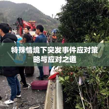 特殊情境下突發(fā)事件應(yīng)對(duì)策略與應(yīng)對(duì)之道