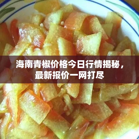 海南青椒價格今日行情揭秘，最新報價一網打盡