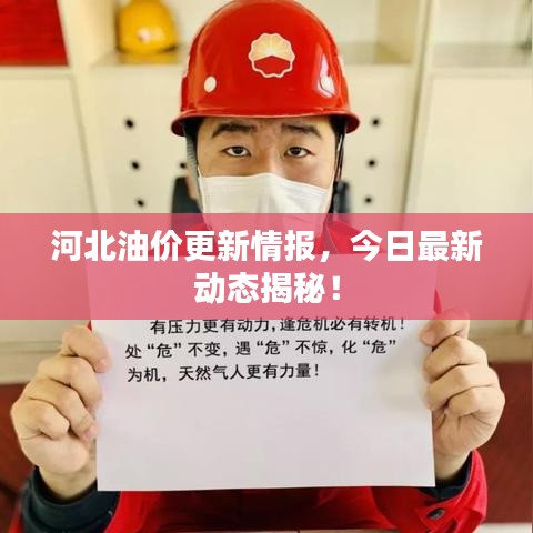 河北油價(jià)更新情報(bào)，今日最新動(dòng)態(tài)揭秘！