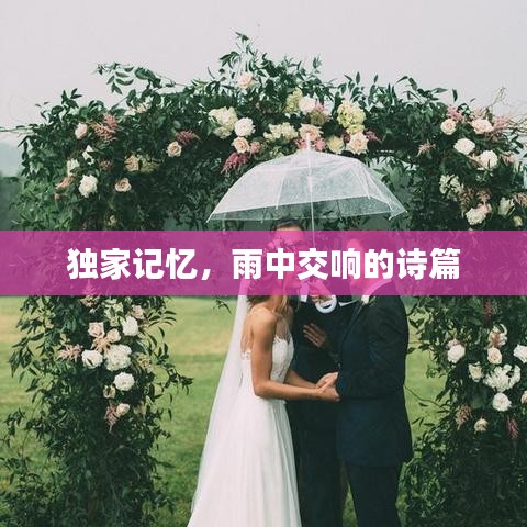 獨(dú)家記憶，雨中交響的詩篇