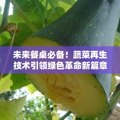 未來餐桌必備！蔬菜再生技術(shù)引領(lǐng)綠色革命新篇章