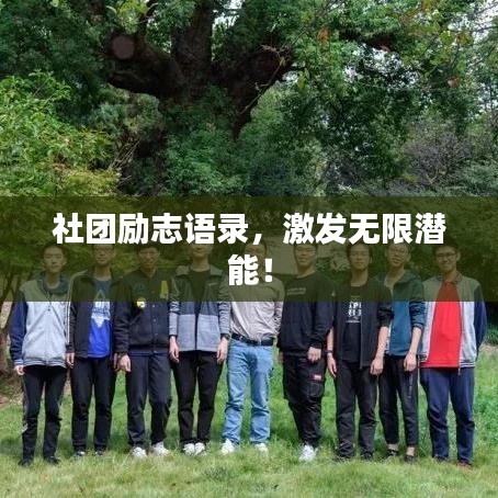 社團勵志語錄，激發(fā)無限潛能！