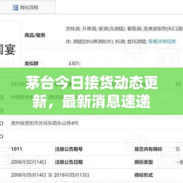 茅臺(tái)今日接貨動(dòng)態(tài)更新，最新消息速遞
