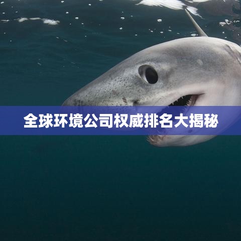 全球環(huán)境公司權(quán)威排名大揭秘