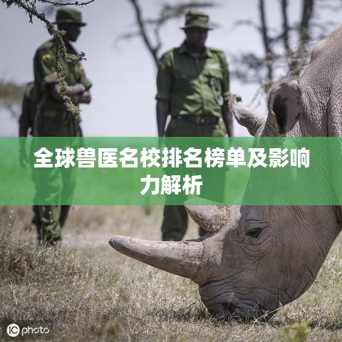 全球獸醫(yī)名校排名榜單及影響力解析