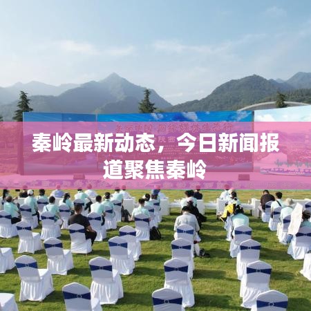 秦嶺最新動態(tài)，今日新聞報道聚焦秦嶺