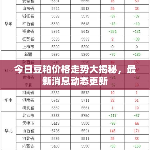 今日豆粕價(jià)格走勢大揭秘，最新消息動(dòng)態(tài)更新