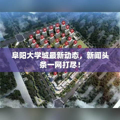 阜陽大學(xué)城最新動(dòng)態(tài)，新聞?lì)^條一網(wǎng)打盡！