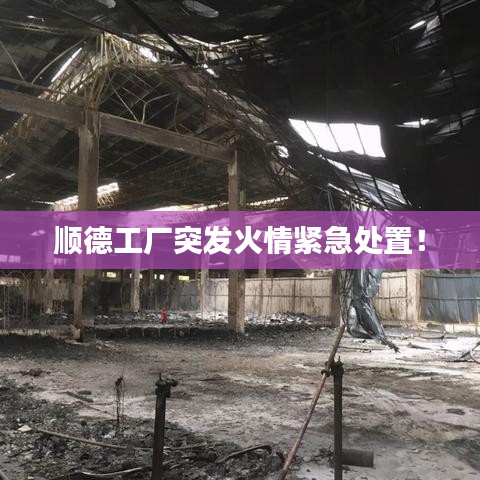 順德工廠突發(fā)火情緊急處置！