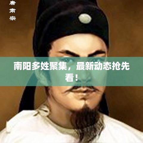 南陽(yáng)多姓聚集，最新動(dòng)態(tài)搶先看！