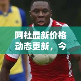 阿杜最新價(jià)格動(dòng)態(tài)更新，今日行情一覽