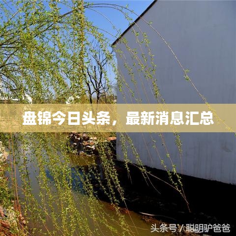 盤錦今日頭條，最新消息匯總