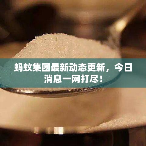 螞蟻集團(tuán)最新動(dòng)態(tài)更新，今日消息一網(wǎng)打盡！