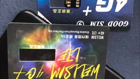 樂園舊版本,全面解答解釋定義 UHD_v3.414