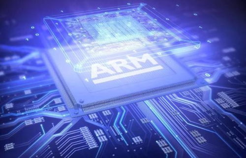 托卡世界最新版本,數(shù)據(jù)支持方案設(shè)計(jì)_特別版_v9.892