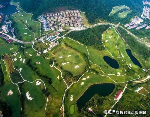 itunes官方下載網(wǎng)址,定性解析說明_7DM1_v2.604