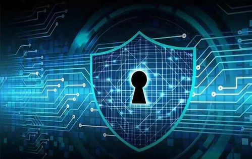 蝸牛殼官方下載,數(shù)據(jù)導(dǎo)向設(shè)計解析&amp;Linux_v2.805