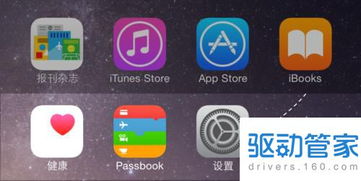 快眼看書迷手機(jī)版本,快速響應(yīng)計劃分析_watchOS_v8.656
