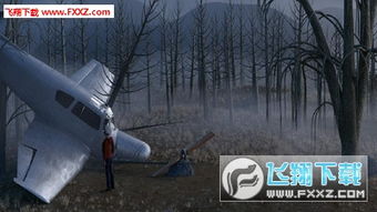 迷失森林官方下載,確保解釋問(wèn)題-D版_v1.678