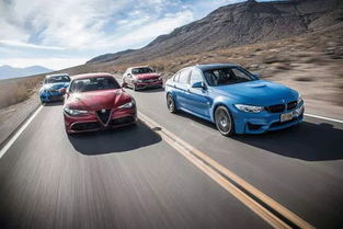 喜馬拉雅FM歷史版本動(dòng)態(tài)版v2.475是一款功能豐富、歷史悠久的音頻分享平臺(tái)應(yīng)用軟件。隨著版本的迭代更新，它不斷適應(yīng)著用戶需求的變化，為用戶帶來更加便捷、個(gè)性化的收聽體驗(yàn)。以下是喜馬拉雅FM歷史版本動(dòng)態(tài)版v2.475的核心功能清單