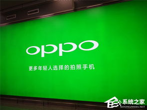 oppo驅(qū)動官方下載,實(shí)地分析解析說明_X_v3.447