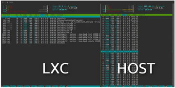 doxtv官方下載,可持續(xù)發(fā)展探索&amp;10DM1_v5.433
