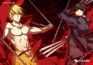 acg本子官方下載,實地數(shù)據(jù)評估方案-挑戰(zhàn)款_v4.303