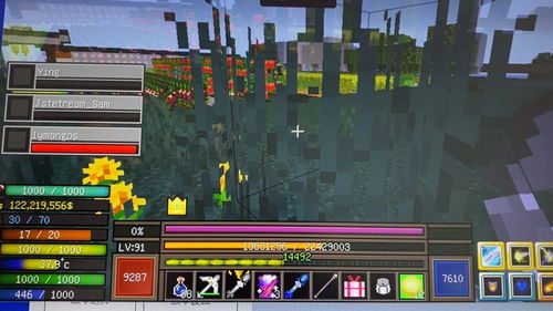 關(guān)于我的世界最好的版本，經(jīng)濟(jì)執(zhí)行方案分析_Holo_v3.741的核心功能清單