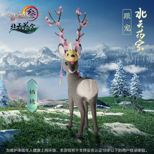 狍子游戲官方下載,創(chuàng)新推廣策略&amp;S_v5.581