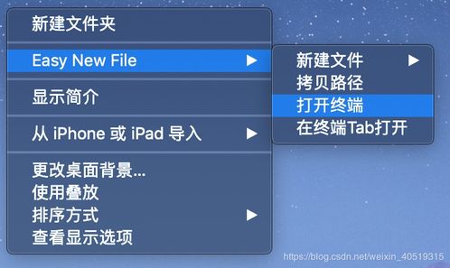 天主教圣經版本,迅速執(zhí)行設計方案&amp;升級版_v10.531